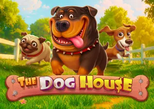 slot1688 The Dog House ทดลองเล่นฟรี